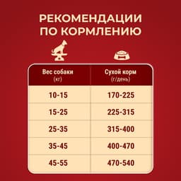 Сухой корм Purina One medium/maxi для взрослых собак, говядина/рис, 10 кг