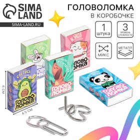 Головоломка металлическая Puzzle «Прокачай мозги», МИКС