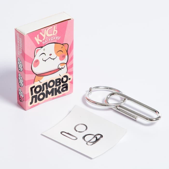 Головоломка металлическая Puzzle «Прокачай мозги», МИКС