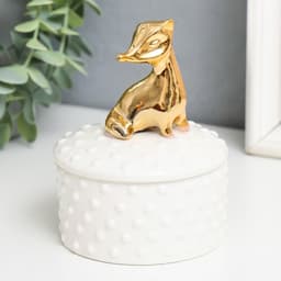 Шкатулка для украшений «Животное», керамика, 11×8.5×8.5 см, МИКС