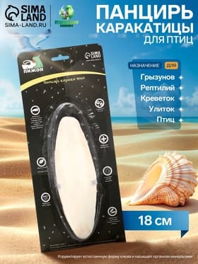 Панцирь каракатицы для птиц, 18 см, белый