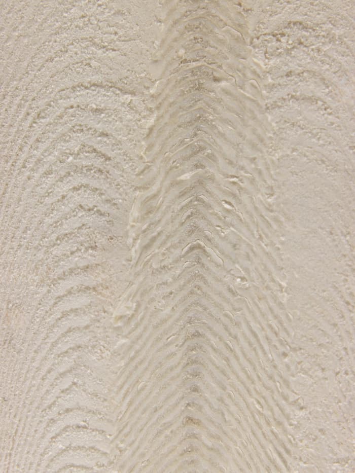 Панцирь каракатицы для птиц, 18 см, белый