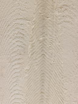 Панцирь каракатицы для птиц, 18 см, белый