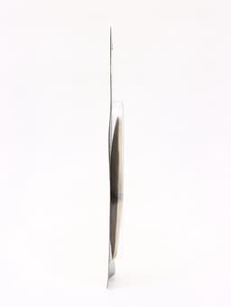 Панцирь каракатицы для птиц, 18 см, белый