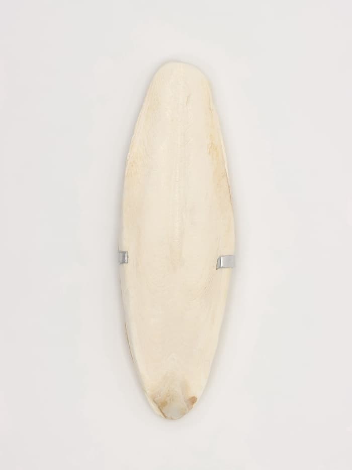 Панцирь каракатицы для птиц, 18 см, белый