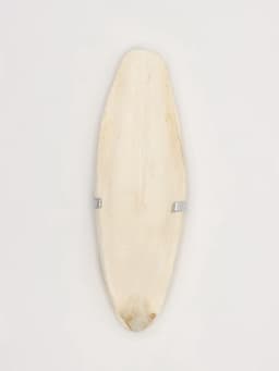 Панцирь каракатицы для птиц, 18 см, белый