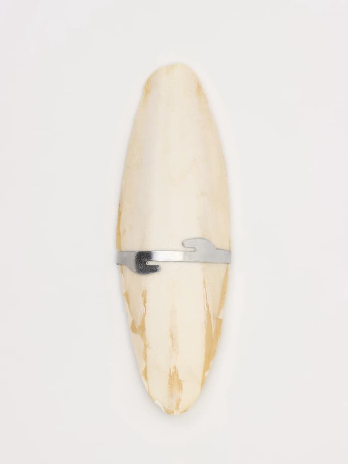 Панцирь каракатицы для птиц, 18 см, белый