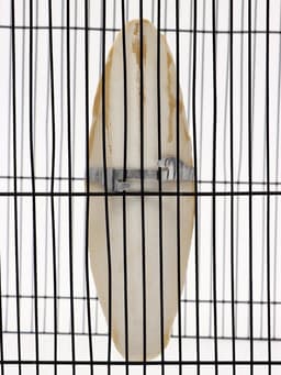 Панцирь каракатицы для птиц, 18 см, белый