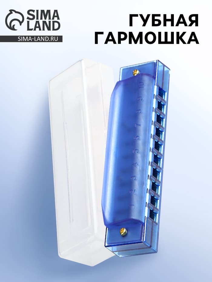 Губная гармошка Music Life, диатоническая, 10 отверстий, c-major, с футляром, синяя
