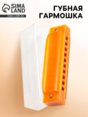 Губная гармошка Music Life, диатоническая, 10 отверстий, c-major, с футляром, оранжевая