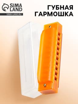 Губная гармошка Music Life, диатоническая, 10 отверстий, c-major, с футляром, оранжевая