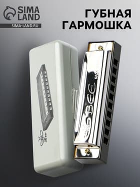 Губная гармошка, диатоническая, 10 отверстий, c-major, с футляром, серебристая