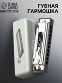 Губная гармошка, диатоническая, 10 отверстий, c-major, с футляром, серебристая