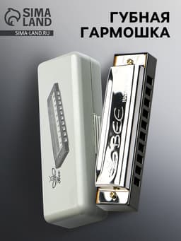 Губная гармошка, диатоническая, 10 отверстий, c-major, с футляром, серебристая