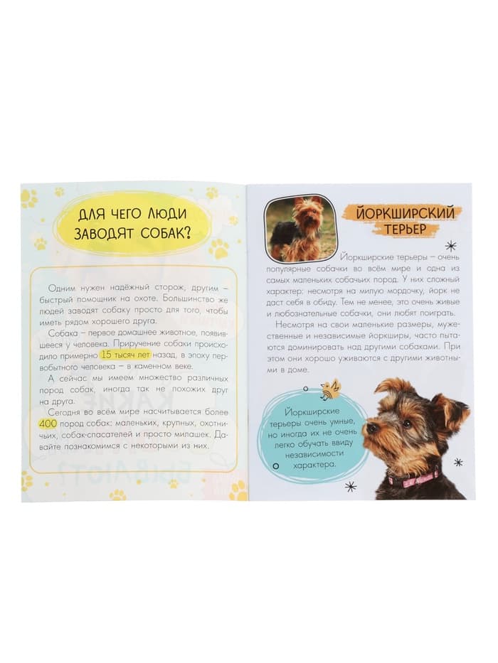 Набор 3 в 1 «Лучший друг», 3 книги, пазл, игрушка