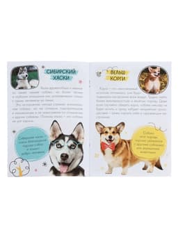 Набор 3 в 1 «Лучший друг», 3 книги, пазл, игрушка