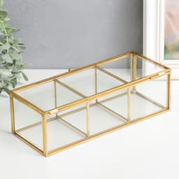 Шкатулка для украшений «3 деления», стекло, с металлическим каркасом, золото, 7×9×23 см