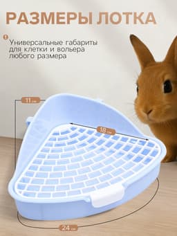 Туалет для кроликов и хорьков «Пижон», 24×18×11 см, угловой, пластик, синий