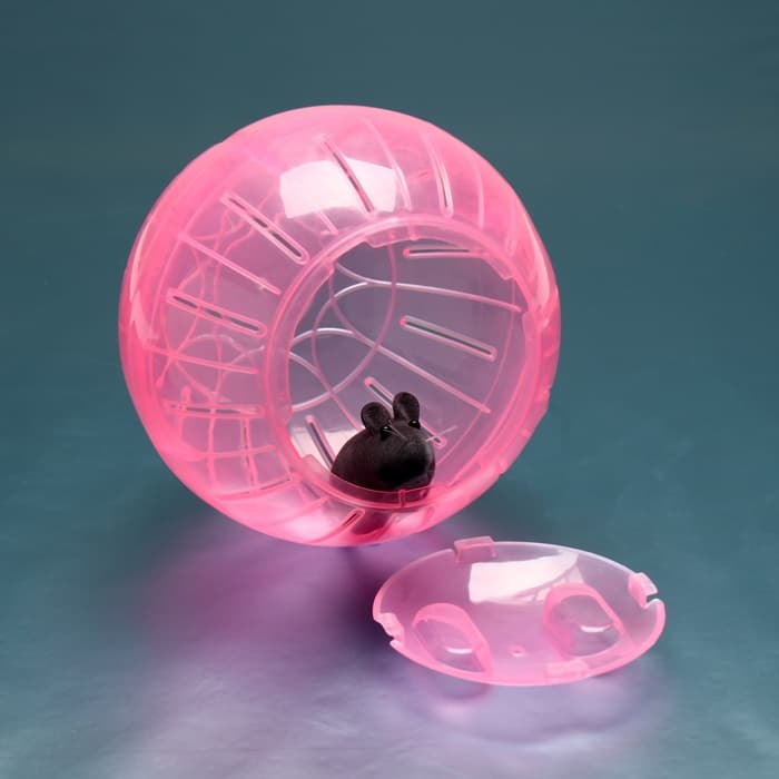 Шар для грызунов «Пижон», 14.5 см, розовый