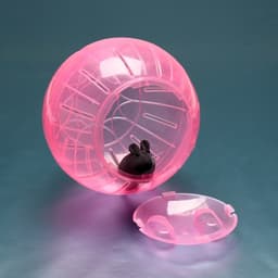 Шар для грызунов «Пижон», 14.5 см, розовый