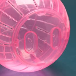 Шар для грызунов «Пижон», 14.5 см, розовый