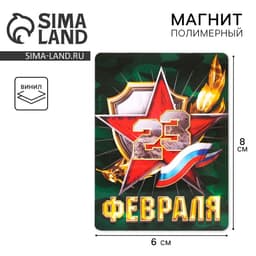 Магнит полимерный «23 февраля», 6×8 см