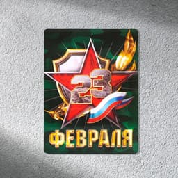 Магнит полимерный «23 февраля», 6×8 см