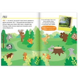 Набор 3в1 «Жители леса»: 12 пазлов, книга с наклейками, раскраска