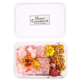 Набор сухоцветов для творчества «Свежесть»