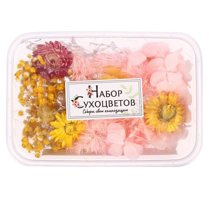Набор сухоцветов для творчества «Свежесть»