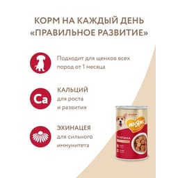 Влажный корм «Мнямс» «ПРАВИЛЬНОЕ РАЗВИТИЕ» для щенков, телятина в соусе, 400 г