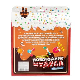 Адвент - календарь новогодний «Новогодние чудеса», детский, 13 окошек с подарками: 13 опытов