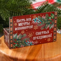 Подарочный набор 2 крем-меда и варенье с шишками по 30 г «Светлых праздников»