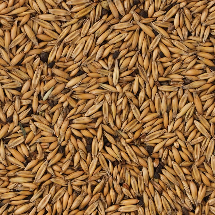 Овес «Перрико» для птиц и грызунов, 200 г