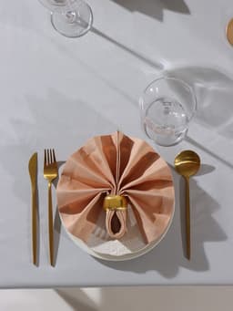 Набор салфеток с декоративными кольцами «Этель» Beige pleasure, 40×40 см - 2 шт., 100% хлопок, саржа 190 г/м²