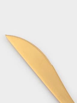 Нож столовый Magistro «Фолк», длина 22 см, нержавеющая сталь, золотистый