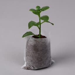 Пакет для рассады, 7×9.5 см, спанбонд плотностью 25 г/м², Greengo