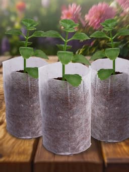 Пакет для рассады, 8.9×14.5 см, спанбонд плотностью 25 г/м², Greengo