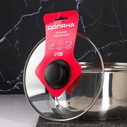 Крышка для сковороды и кастрюли Доляна, d=22 см, нержавеющий обод, пластиковая ручка, стекло, прозрачная