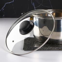 Крышка для сковороды и кастрюли Доляна, d=24 см, нержавеющий обод, пластиковая ручка, стекло, прозрачная