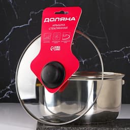 Крышка для сковороды и кастрюли Доляна, d=26 см, нержавеющий обод, пластиковая ручка, стекло, прозрачная