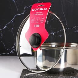 Крышка для сковороды и кастрюли Доляна, d=30 см, нержавеющий обод, пластиковая ручка, стекло, прозрачная