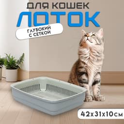 Лоток большой с сеткой Atlantis «Стандарт», 42×31×10 см, серый