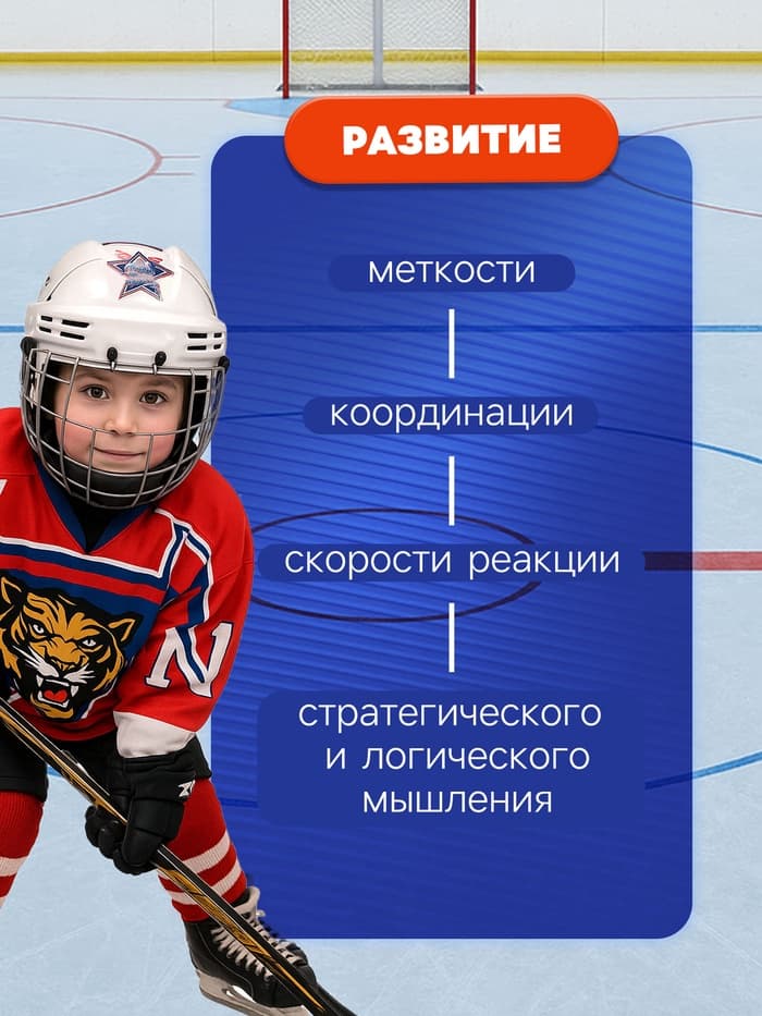 Хоккейный набор 3 в 1, 2 клюшки, 2 мяча, шайба, 4 ворота