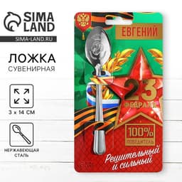 Ложка чайная именная «Евгений», h=14 см