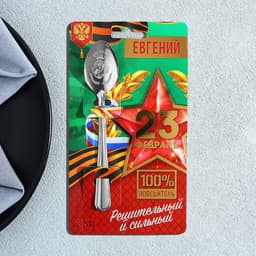 Ложка чайная именная «Евгений», h=14 см