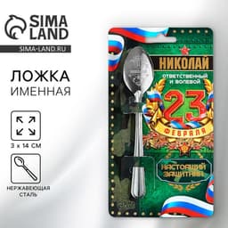 Ложка чайная именная «Николай», 14×3 см