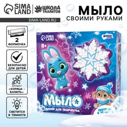 Мыло своими руками на новый год «Зимняя ночь», 2 формы, набор для творчества