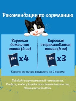 Влажный корм Felix Природа вкуса для кошек, лосось, 75 г