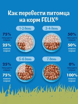 Влажный корм Felix Природа вкуса для кошек, лосось, 75 г
